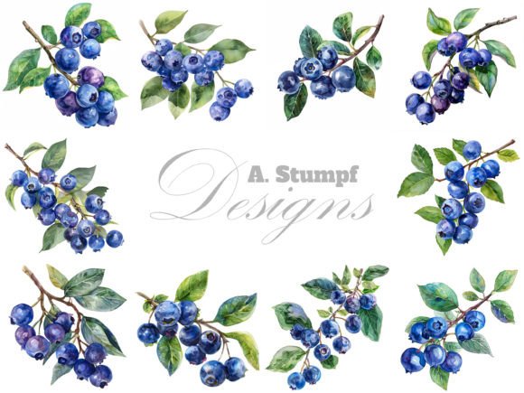 Blueberry Watercolor Fruits Clipart Set: Creative Inspiration for Every Occasion