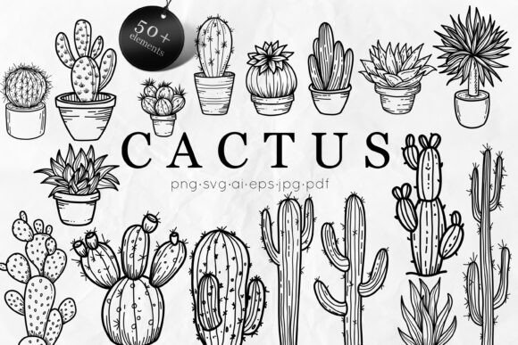 Cactus SVG Bundle Succulent Line Art: Elevate Your Creative Projects