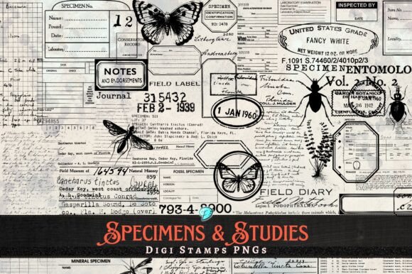Specimens and Studies Digi Stamps: A Digital Resource for Creators